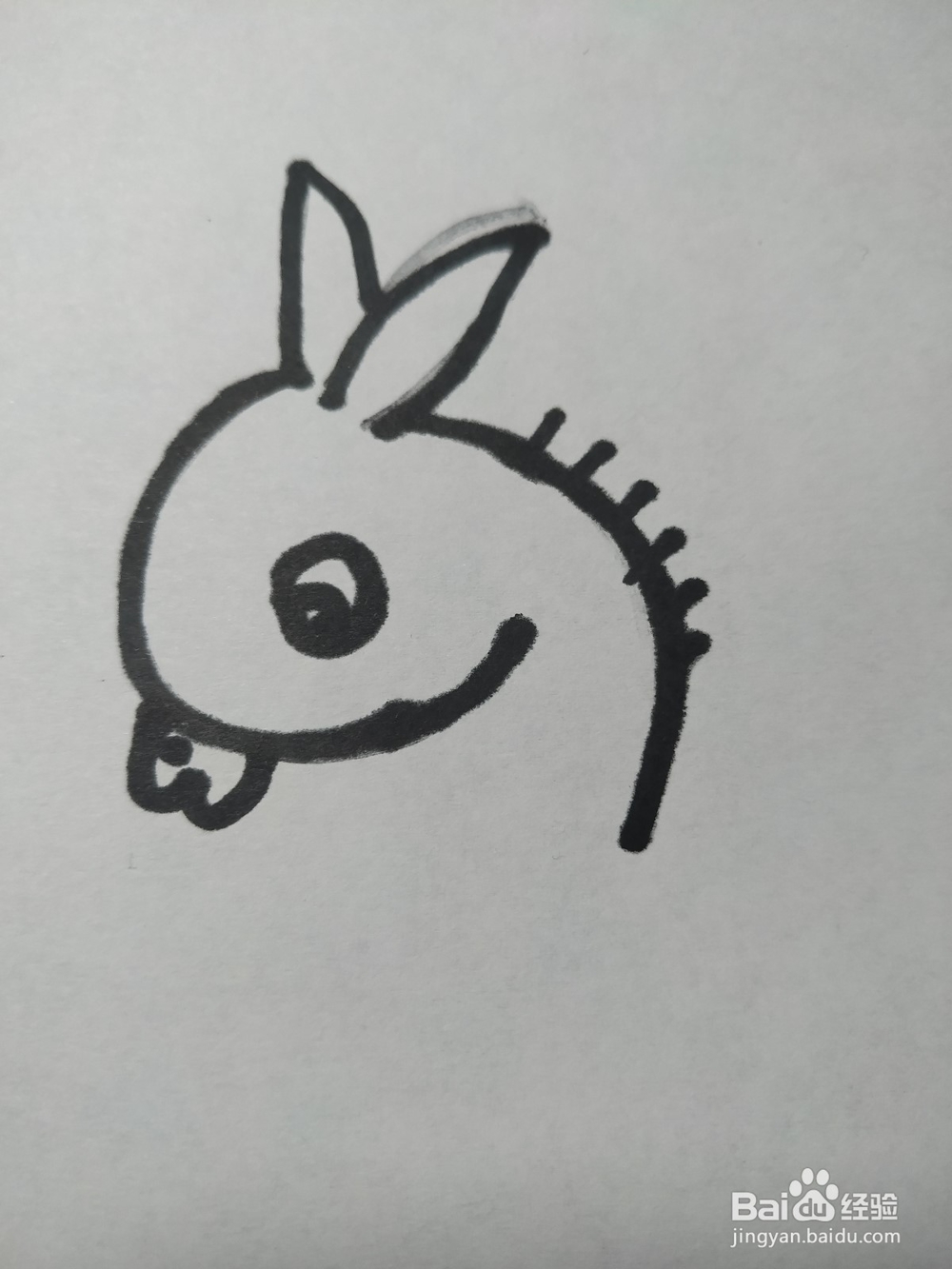 毛驴的简笔画技法6