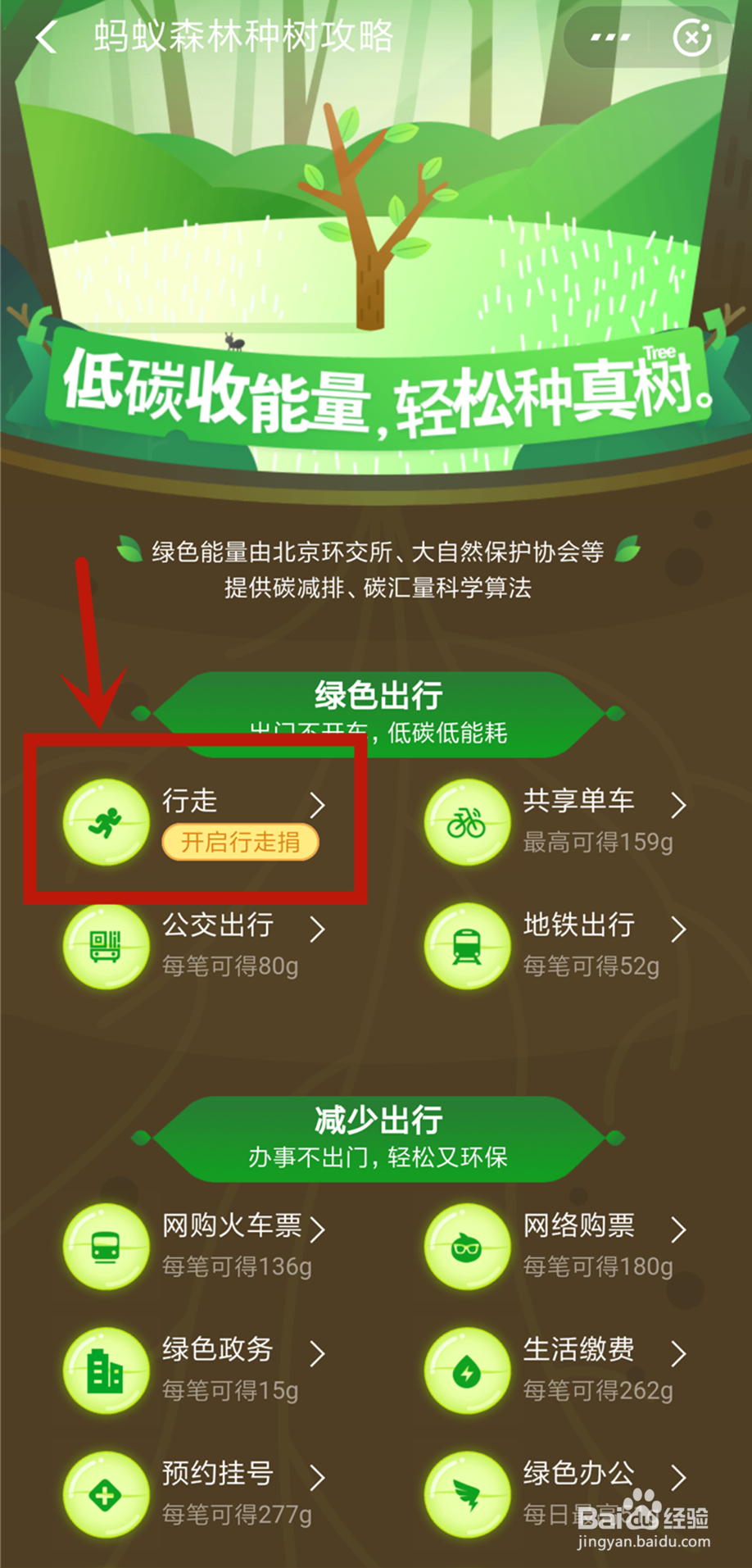 蚂蚁森林9.7kg攻略