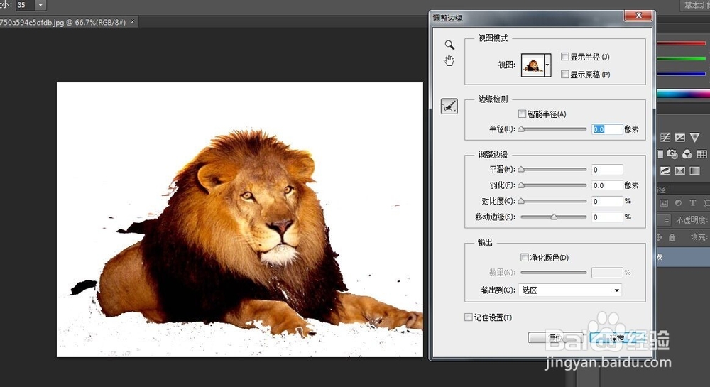 Photoshop 自学-抠图时的边缘调整
