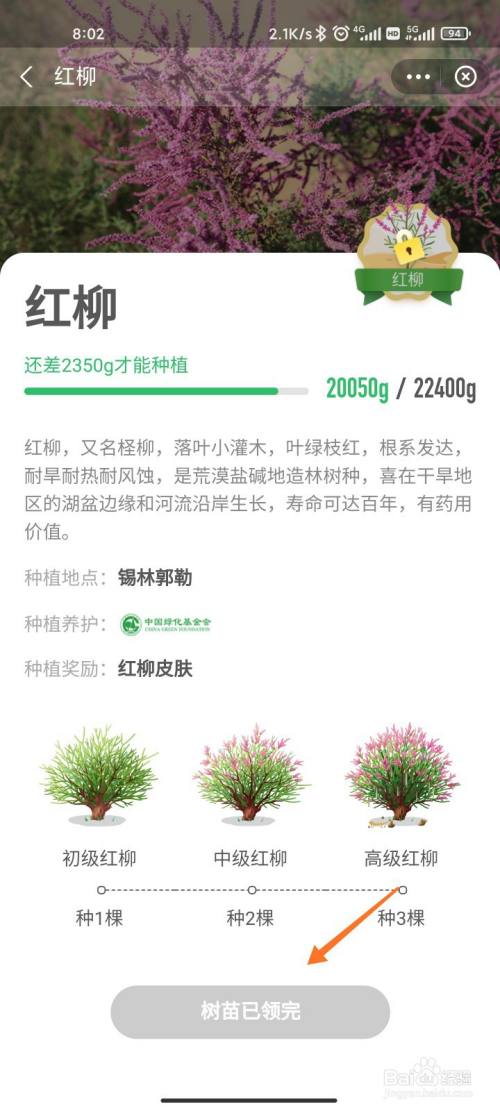 蚂蚁森林红柳树装扮怎么获得