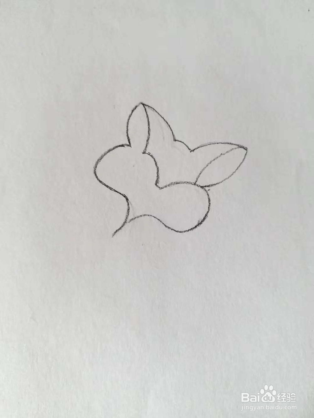 狐狸的简笔画法（三）