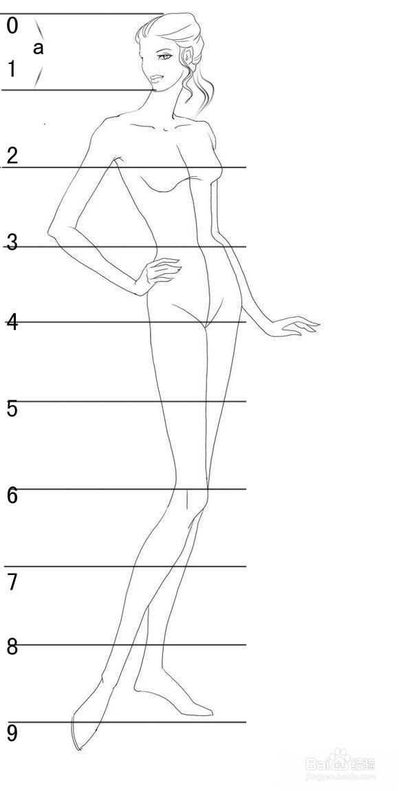 零基础自学服装设计（之一）---如何画人体