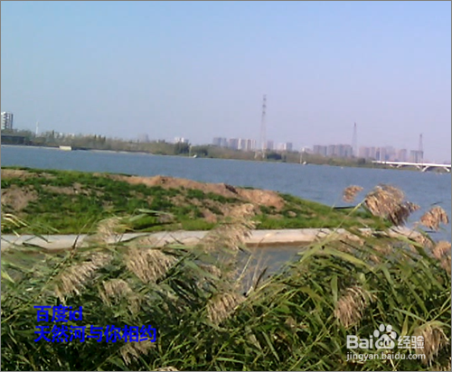 怎么在电脑上打开手机文件夹并复制文件?