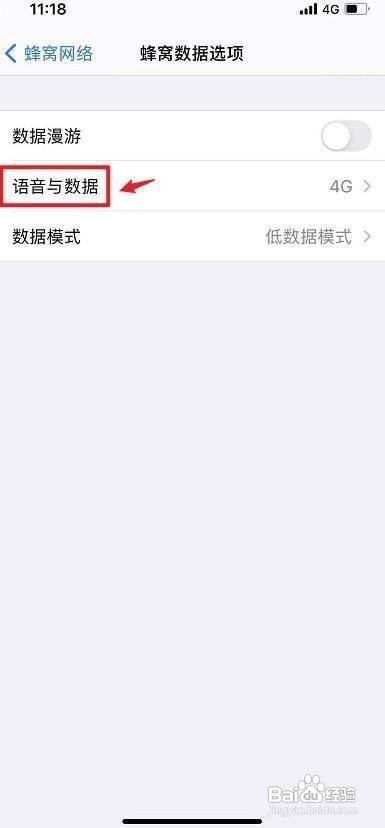 苹果12开启怎么开启5g