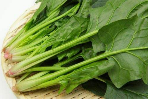 煮熟了的菠菜放置一晚上还能吃吗