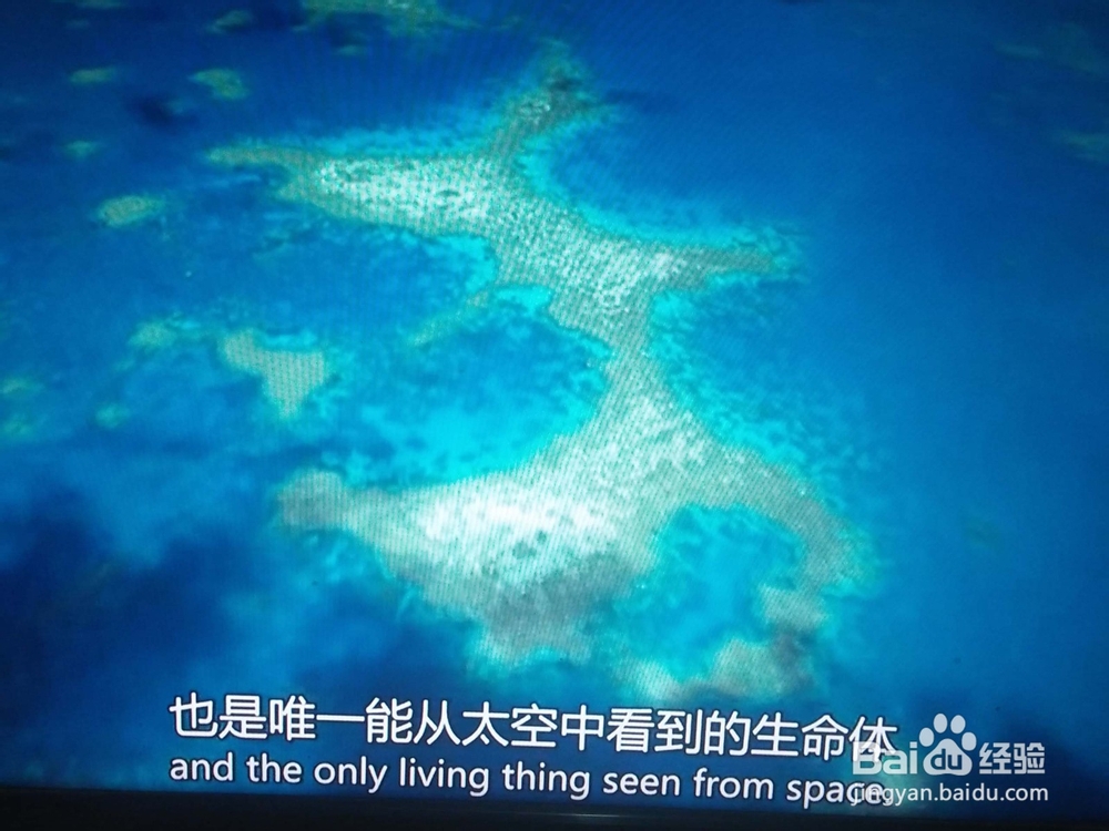 天猫魔盒如何看海