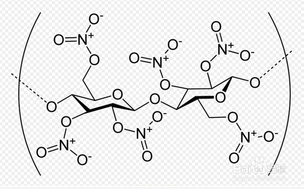 杏鲍菇的营养价值