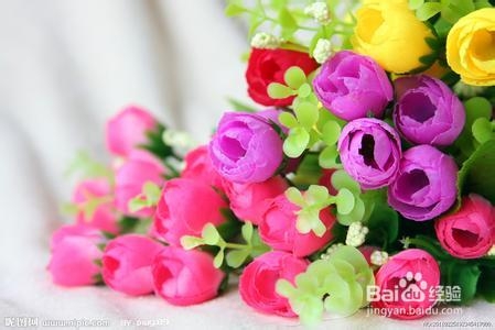 狄香玫瑰精油的功效与作用