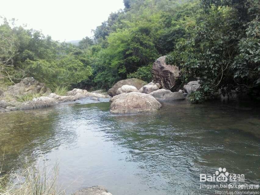 深圳海边杨梅坑山海天然潭农家乐游玩攻略分享