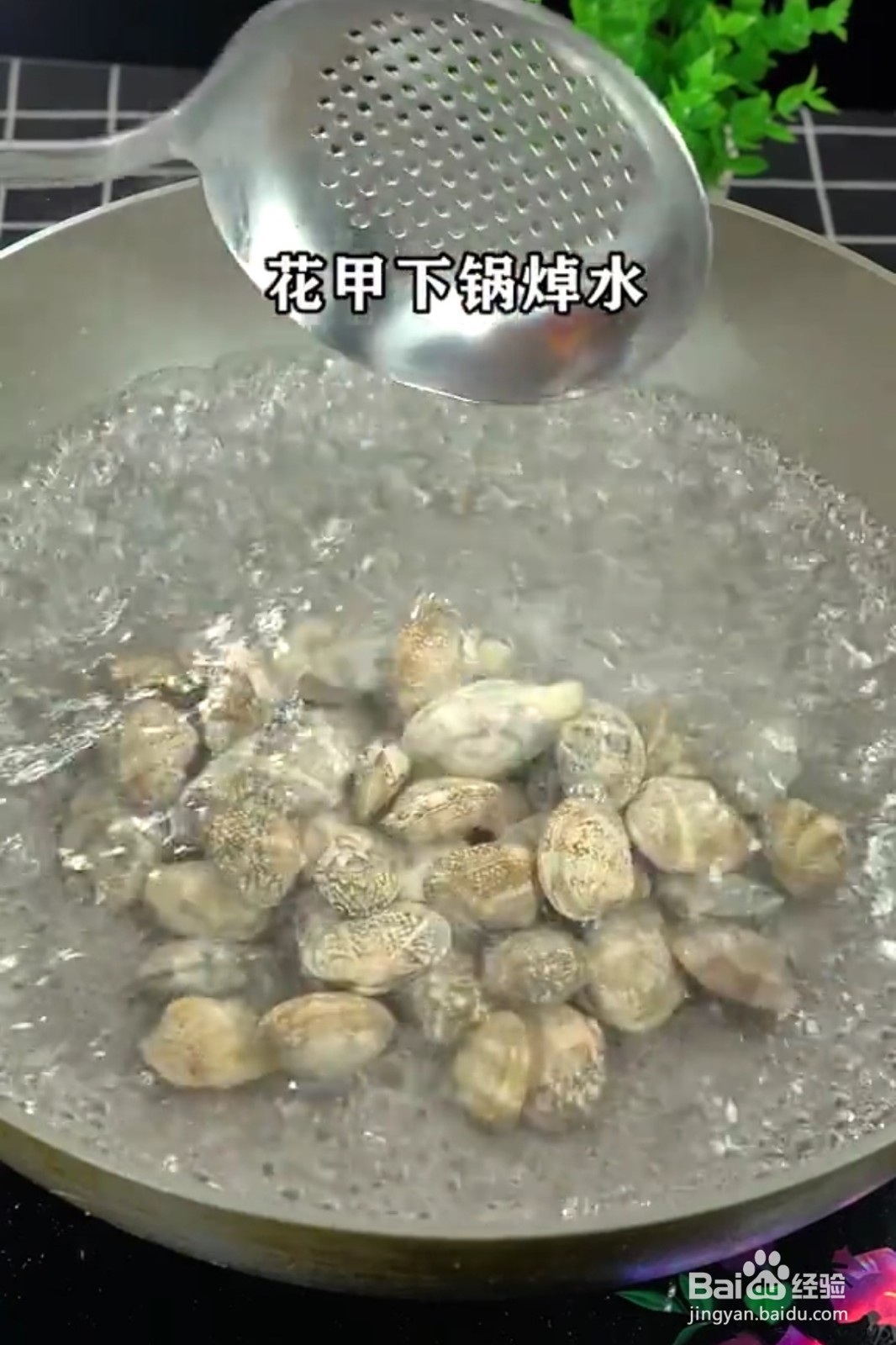 蒜蓉花甲的做法