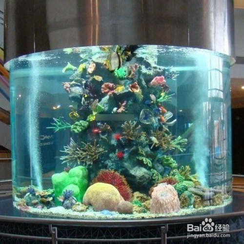 鱼缸的水发黄是什么原因?怎么治理?