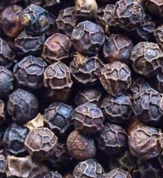 哪些植物可以提取精油