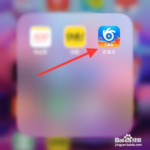 安逸花app怎么打开手势密码?