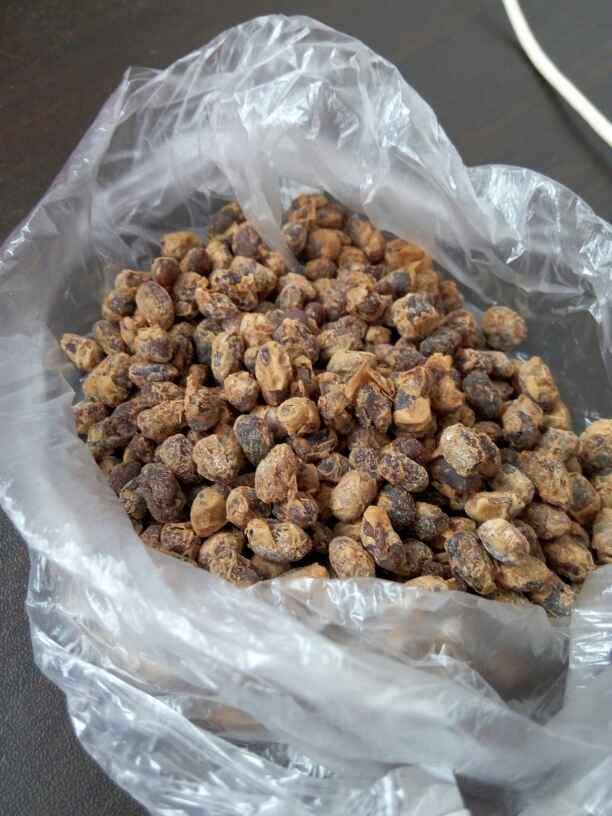 糟辣豆豉回锅肉，心动的你快来跟我学吧！