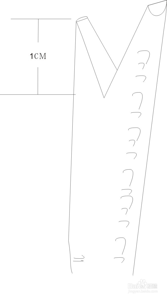 牡丹繁殖嫁接法