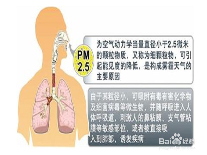 科学防霾的方法有哪些？