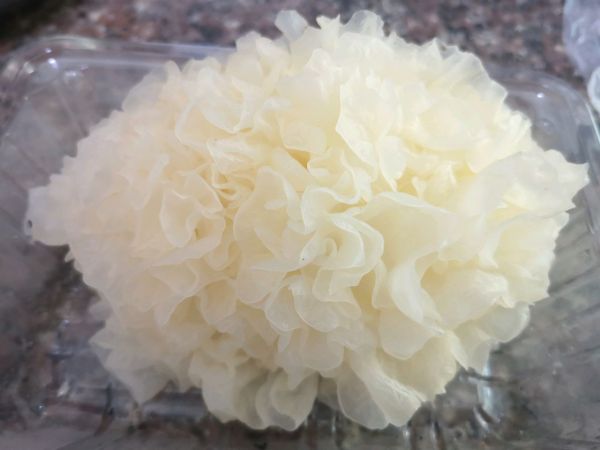 黄桃蔓越莓鲜银耳羹