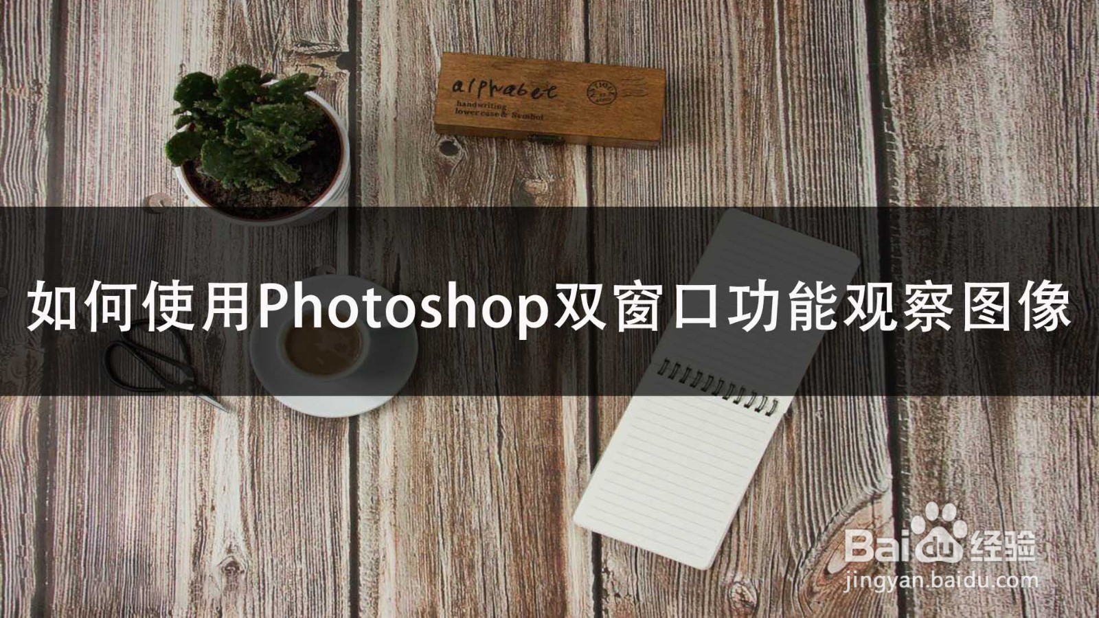 如何使用Photoshop的拼写检查功能