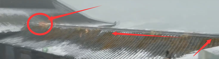 只狼幻廊怎么快速击杀四猴，教你戏耍四猴