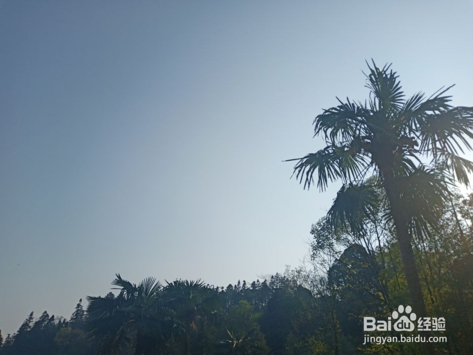 如何形成好的公共生活