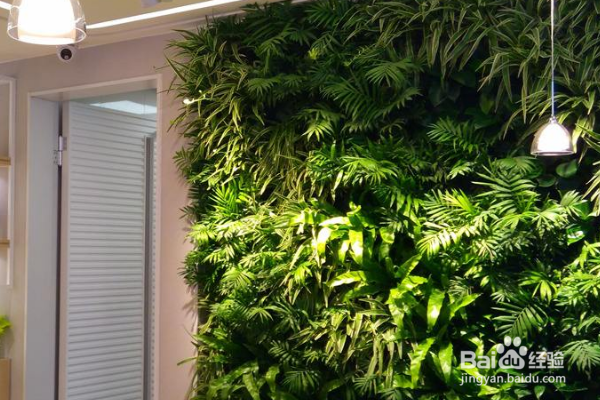 如何让植物墙更美？