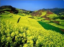 怎样能够得到别人信任