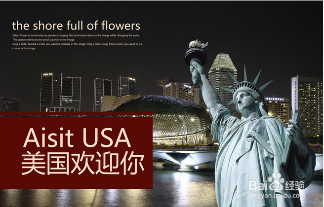 工商管理专业奖学金申请(2)