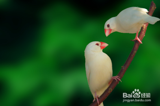 怎样找到合适自己的另一半？