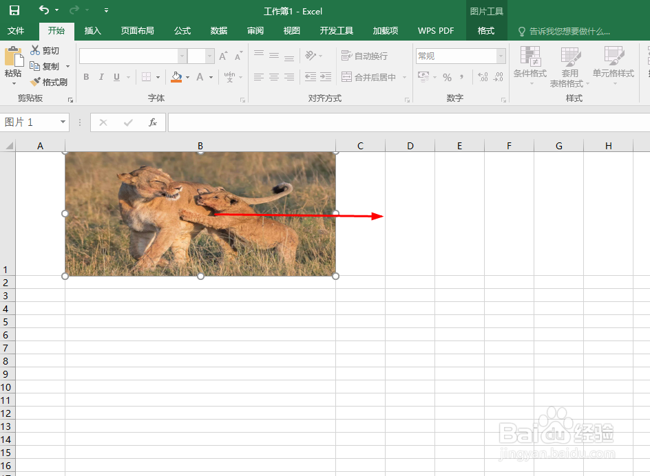 Excel如何让图片跟随单元格尺寸变化