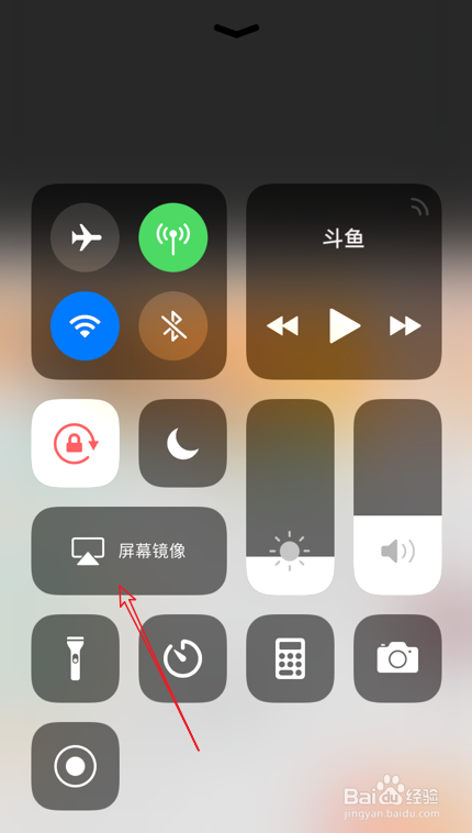 斗鱼直播怎么投屏到电视上看
