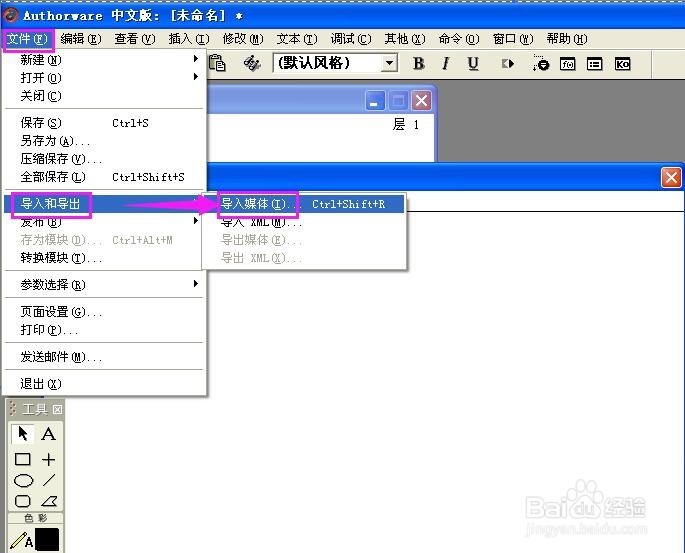 怎样在Authorware中添加图片？