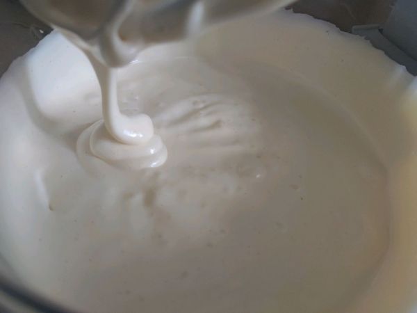 无水蜂蜜脆皮小蛋糕