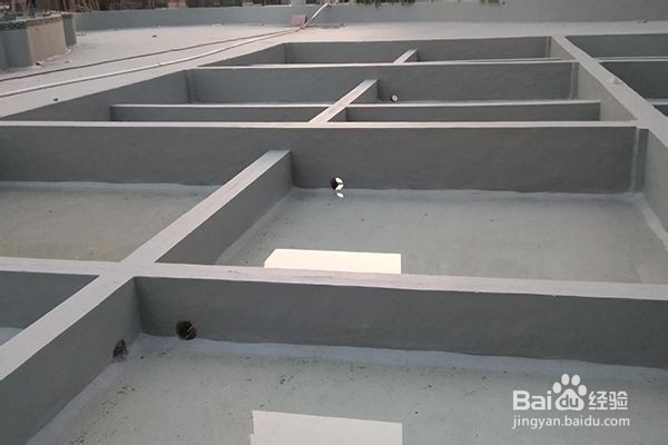 防水涂层的选择技巧