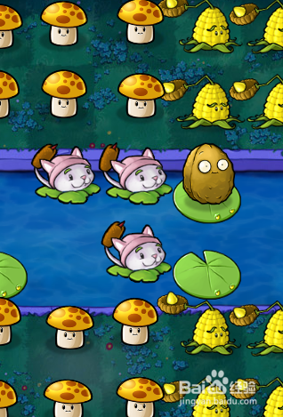 植物大战僵尸生存模式浓雾困难第二轮