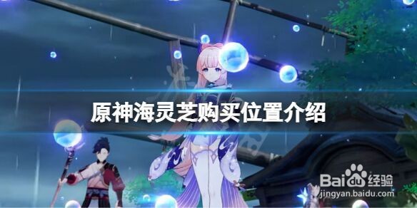 《原神》海灵芝哪里买？