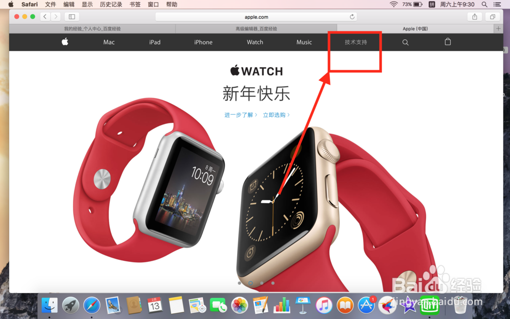 忘记苹果ID密保答案怎么办？无救援邮箱怎么办？