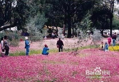 春天外出踏青要注意哪些问题