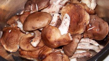 香菇芝士堡的做法