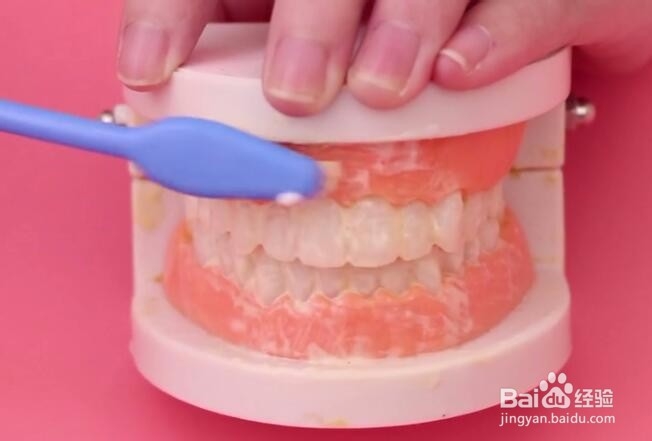 白醋刷牙的正确方法