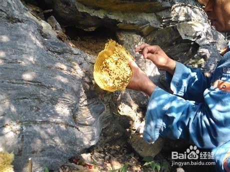 土蜂蜜多少钱一斤