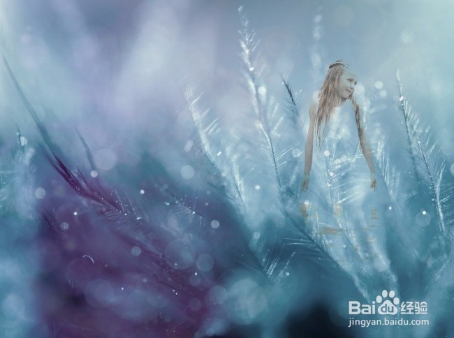 癌症的初步了解和预防（个人观点）