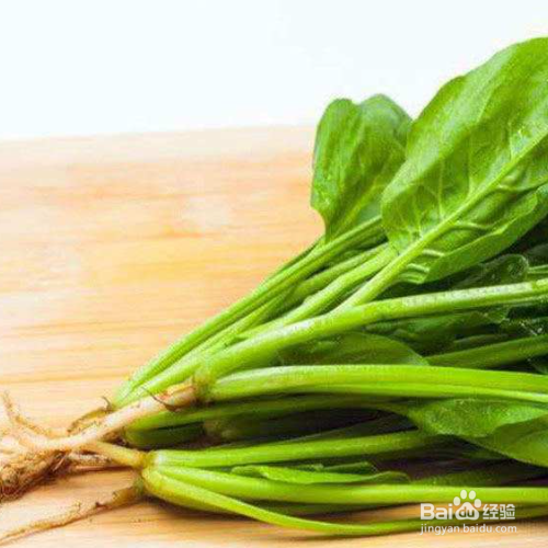 种菠菜的时间和方法