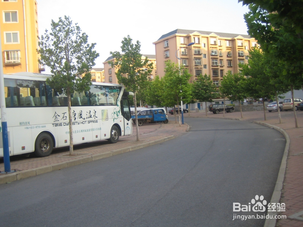 怎样告诉孩子安全过马路--51