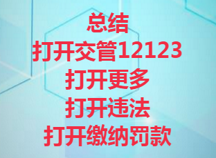 怎么在交管123123上缴纳罚款