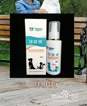 家中养狗必备物品有哪些？