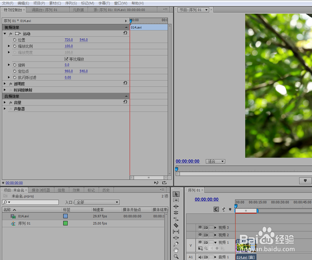 通过查找边缘效果创造油画视频效果premiere