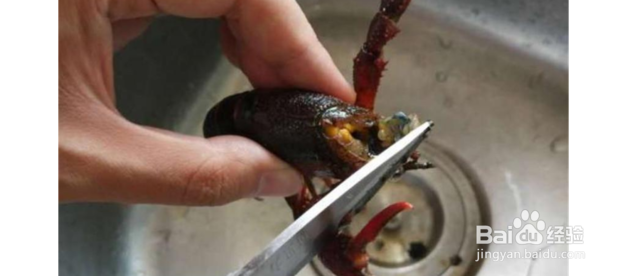 正宗油焖大虾做法教程大全