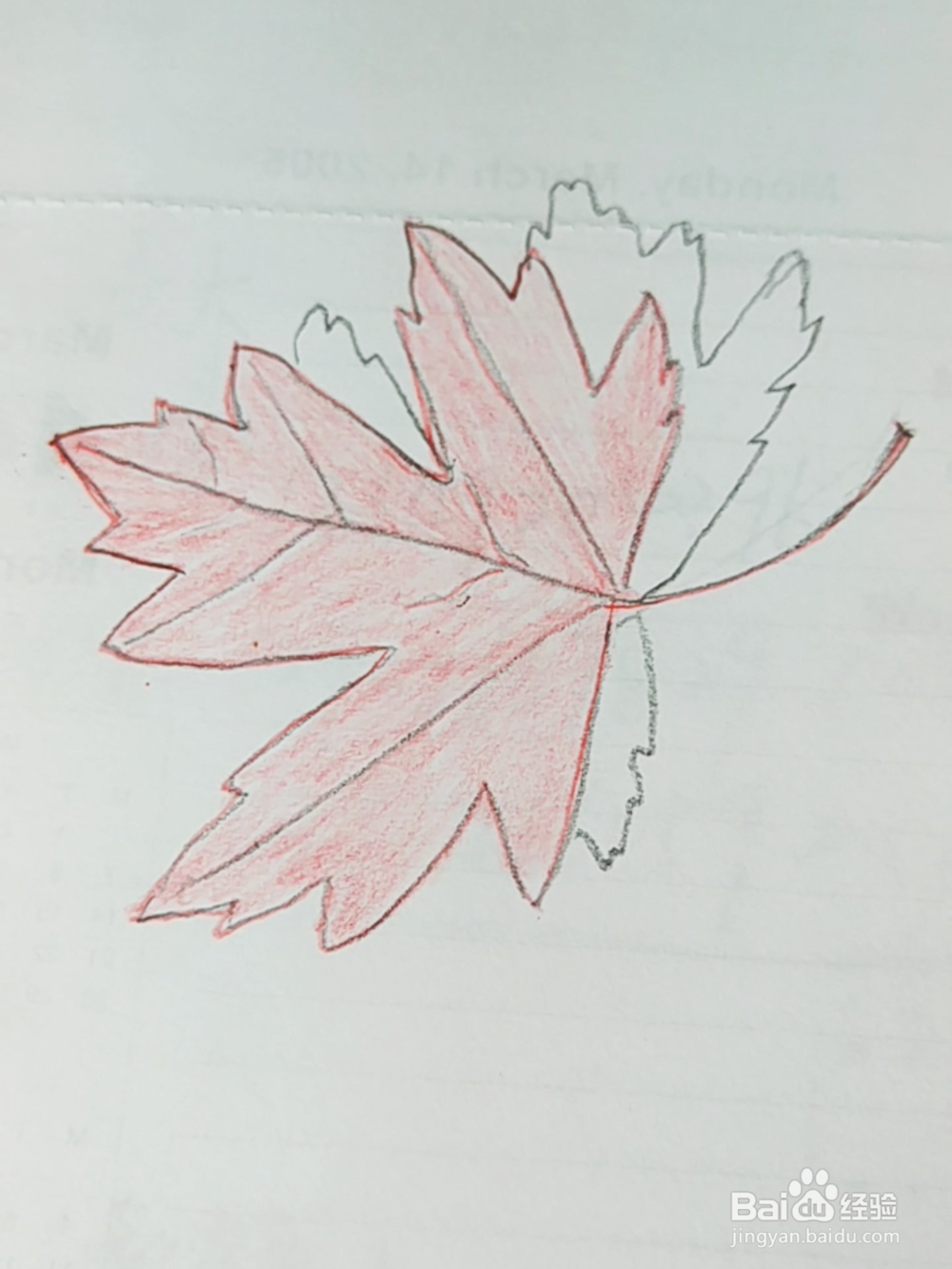 简笔画：红色枫叶画法