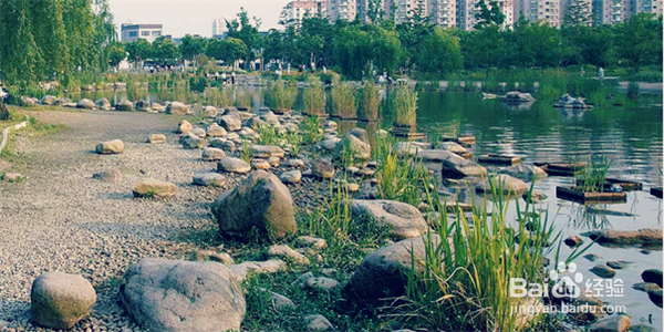 <b>上海好玩的公园介绍</b>