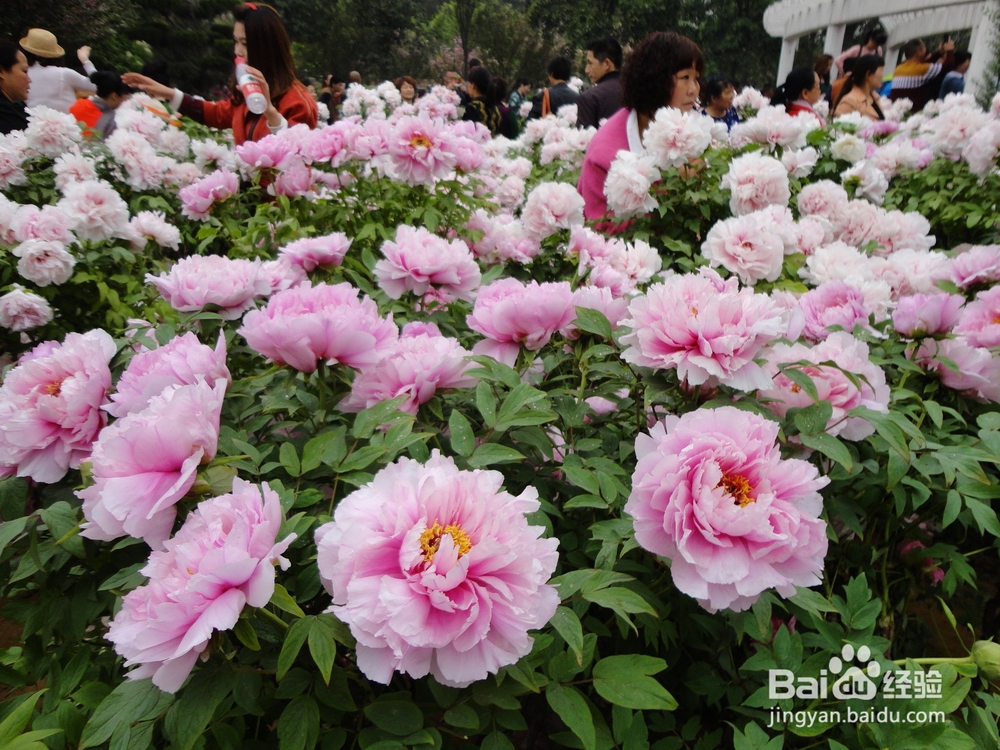 健康养生，快乐之本